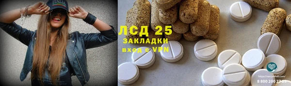 дживик Инсар