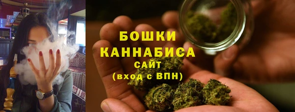 гашик Иннополис