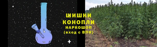 дживик Инсар
