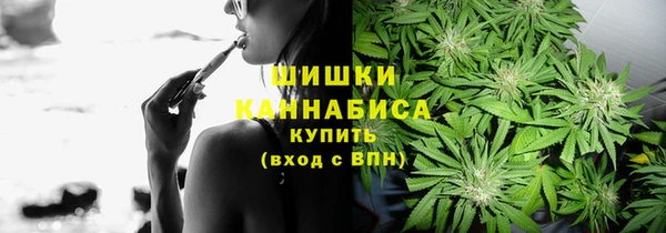 гашик Иннополис